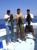 oak island charter fishing action